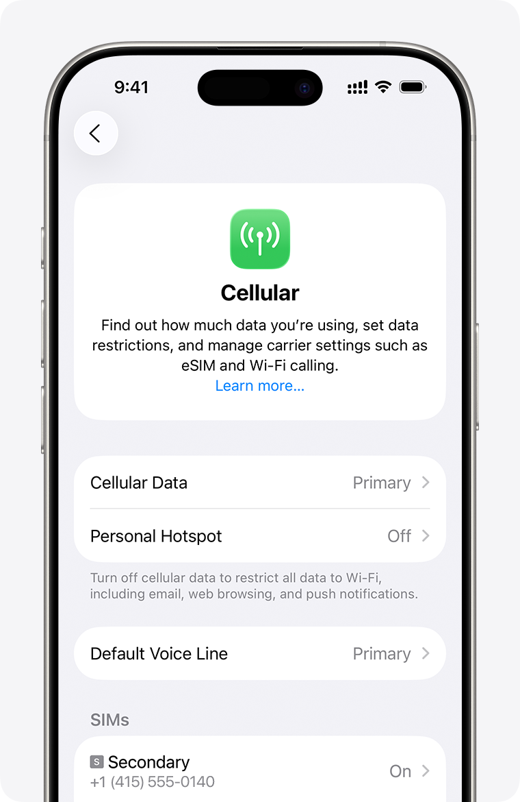 iPhone Cellular settings showing eSIM management and carrier options