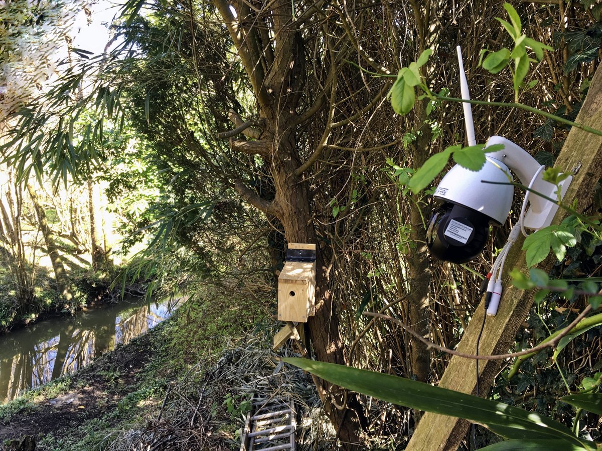 Camera an ninh IP không dây gắn ngoài trời trên cột gỗ