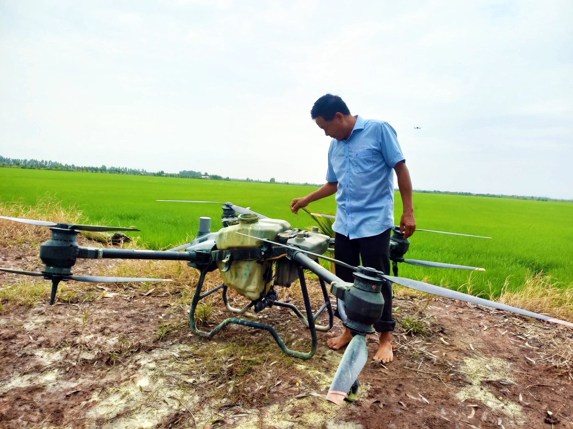 Drone nông nghiệp đậu bên ruộng lúa xanh, phía xa có drone đang bay