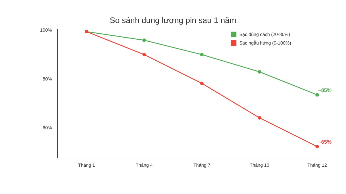 Biểu đồ so sánh dung lượng pin sau 1 năm giữa sạc đúng cách và sạc ngẫu hứng