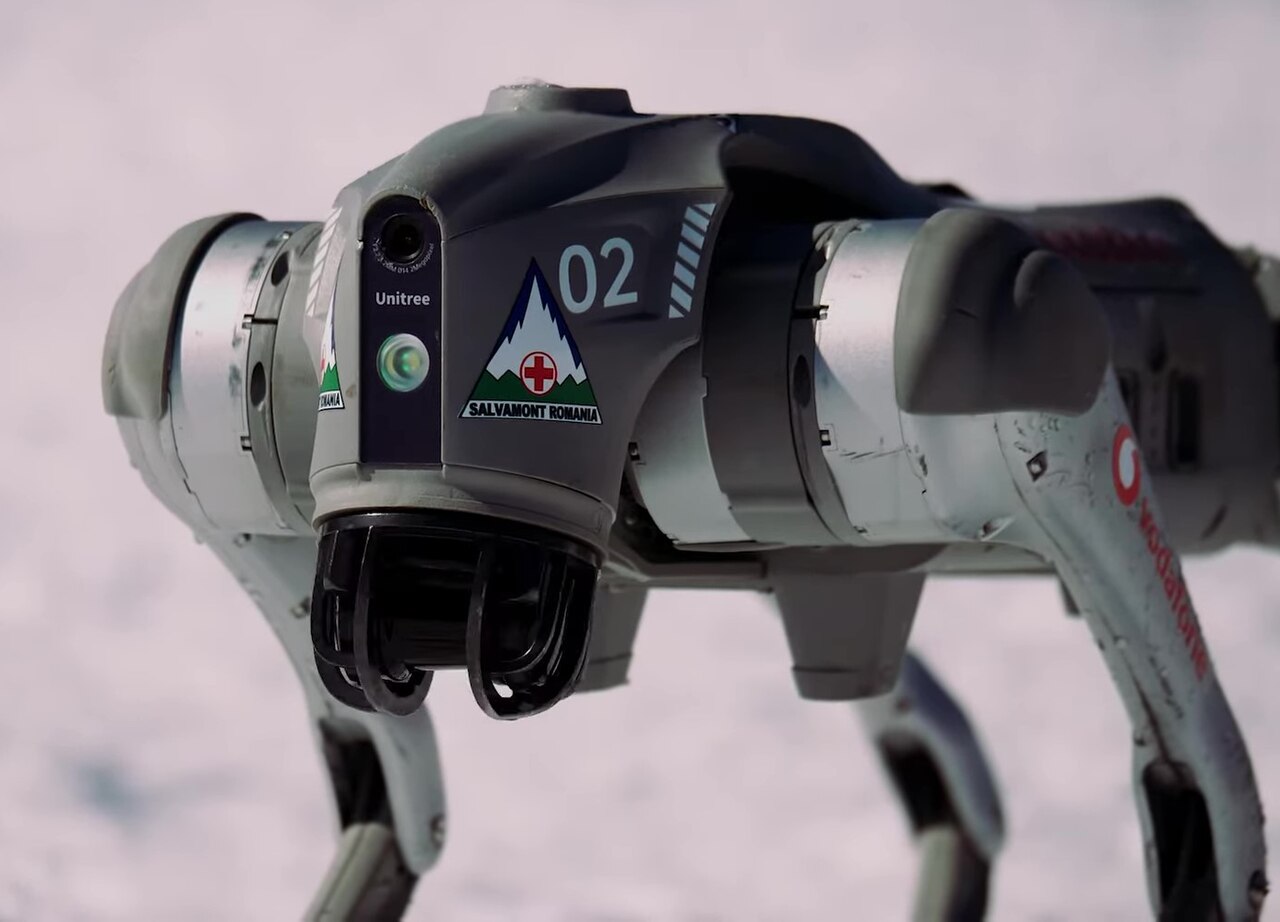 Robot bốn chân Unitree Go2 di chuyển trên địa hình