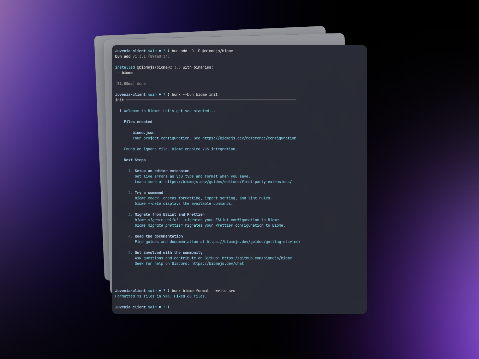 VS Code editor tích hợp Biome LSP hiển thị diagnostics real-time và auto-fix