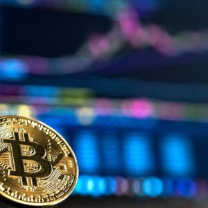 solana_featured_bitcoin_trading