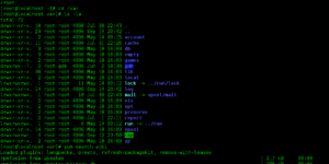 Bash terminal with command line interface