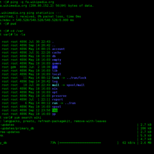 Bash terminal with command line interface