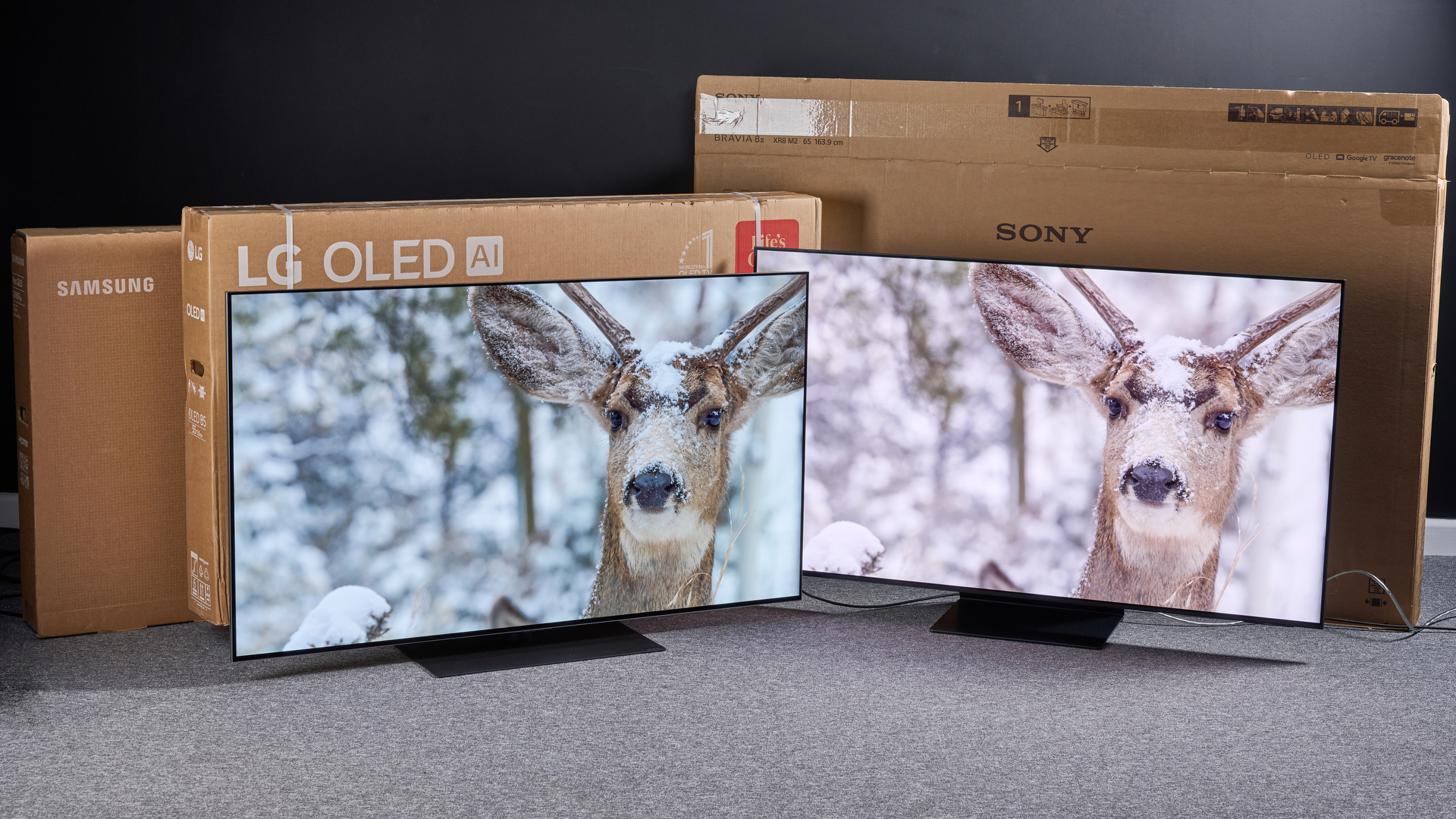 Hai tivi OLED hiển thị hình ảnh con nai trong tuyết