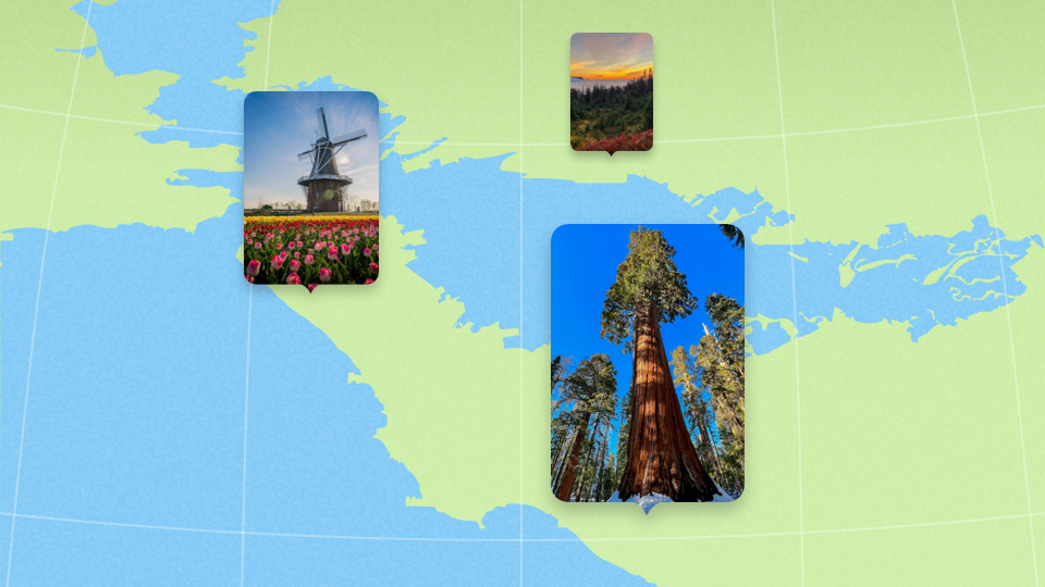 Sơ đồ cây view SwiftUI từ root VStack xuống các Text, Image, Button lá