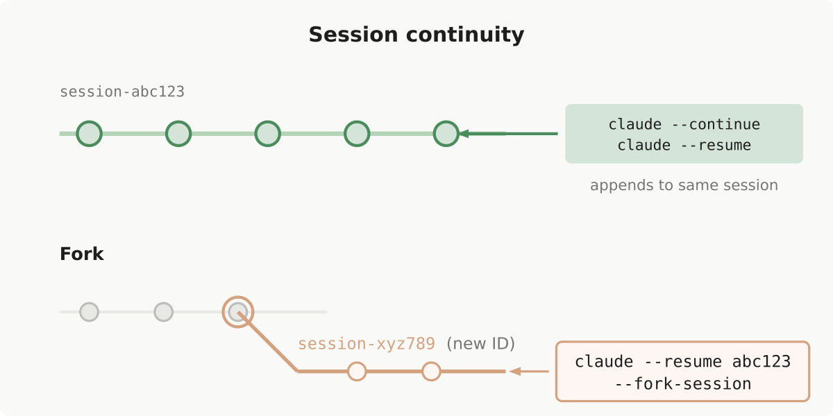 Sơ đồ session continuity của Claude Code: resume và fork session