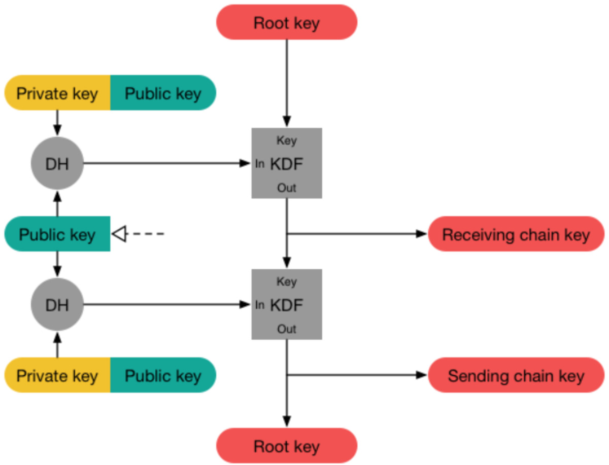 Sơ đồ thuật toán Double Ratchet: symmetric-key ratchet và Diffie-Hellman ratchet hoạt động song song để bảo mật tin nhắn