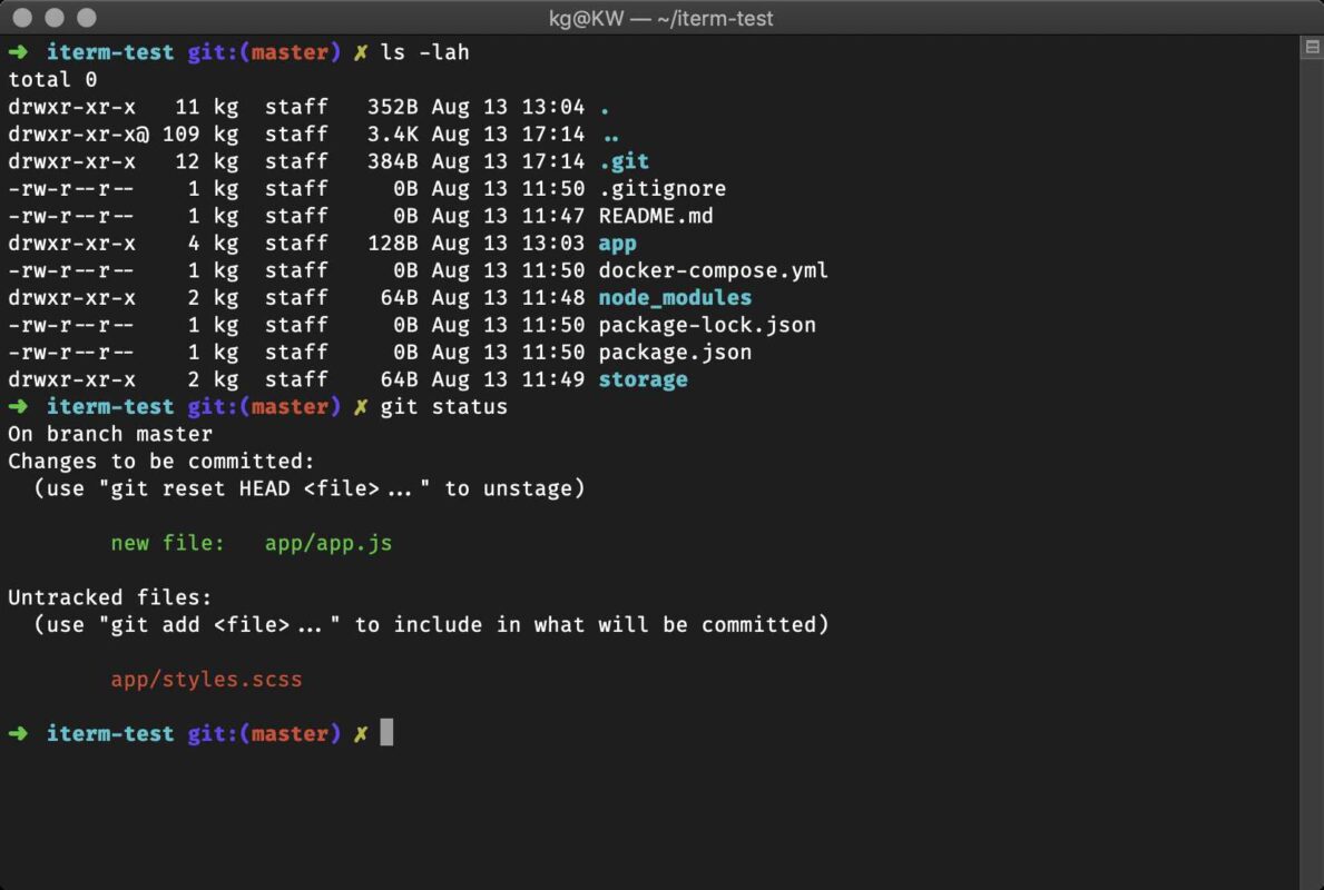 Theme Oh My Zsh robbyrussell: giao diện terminal đẹp mắt với git status