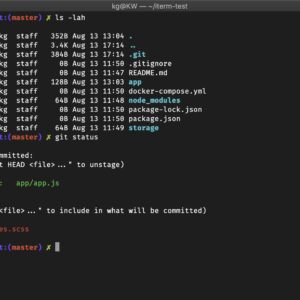 Theme Oh My Zsh robbyrussell: giao diện terminal đẹp mắt với git status