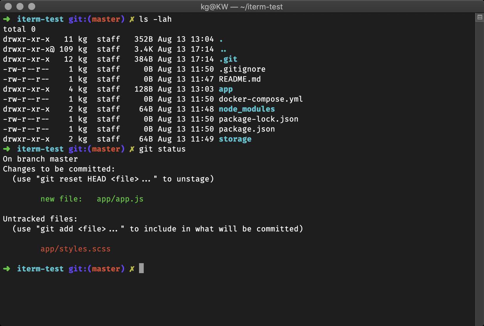 Theme Oh My Zsh robbyrussell: giao diện terminal đẹp mắt với git status