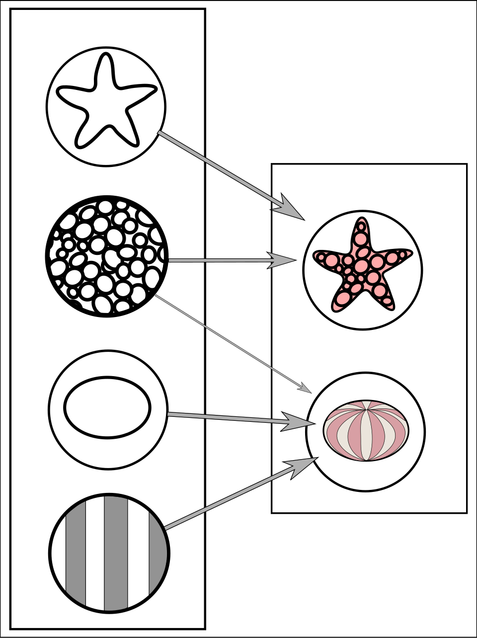 Sơ đồ mô hình neural network đơn giản hóa với các tầng input, hidden, output