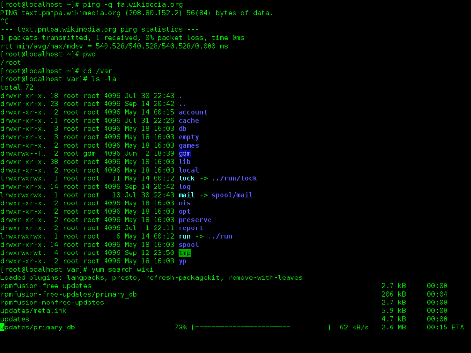 Giao diện terminal Linux với dòng lệnh Bash đang chạy, minh họa môi trường terminal quen thuộc