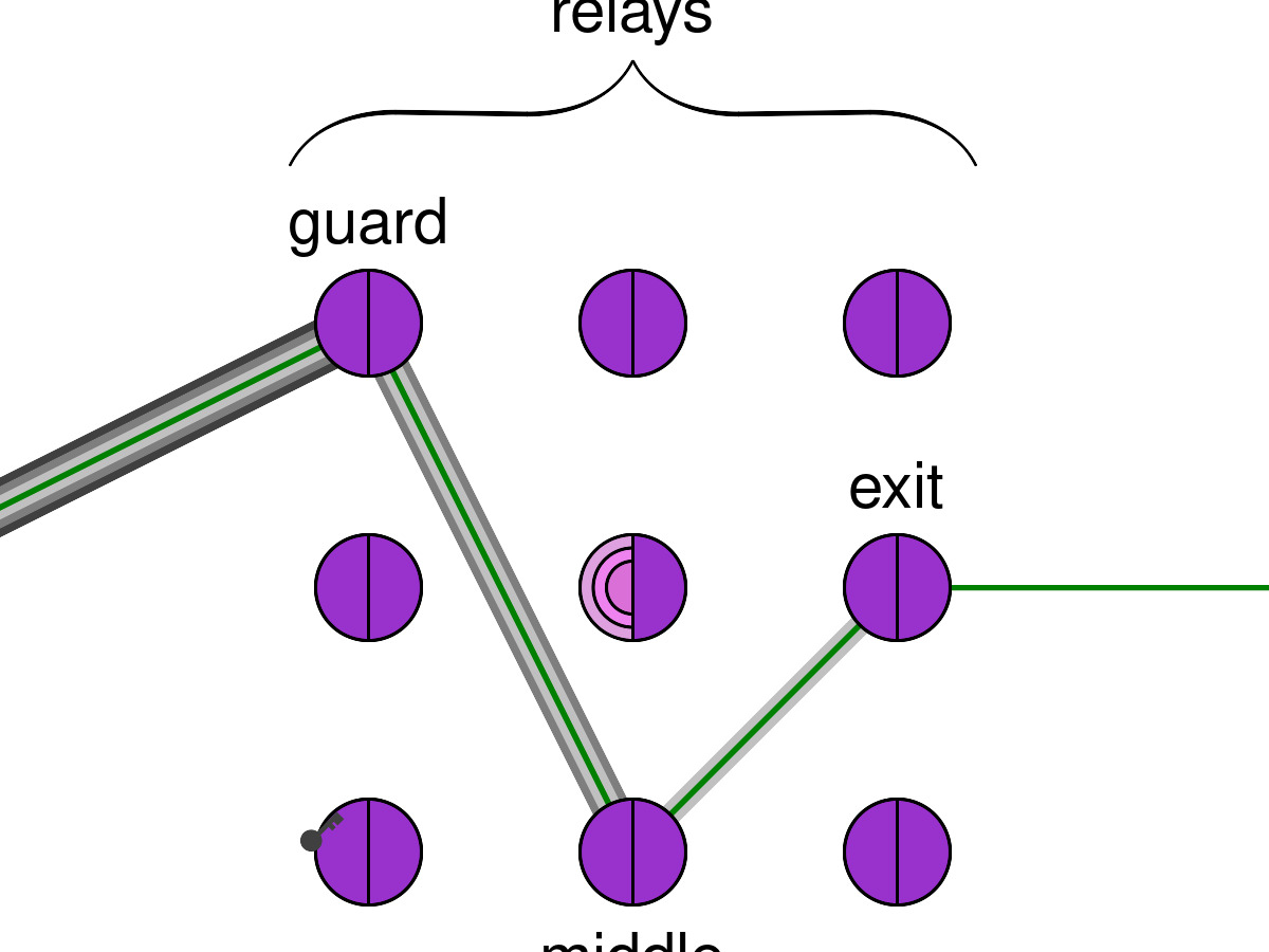 Sơ đồ mạch Tor: traffic đi qua 3 nút guard, middle, exit để ẩn danh người dùng