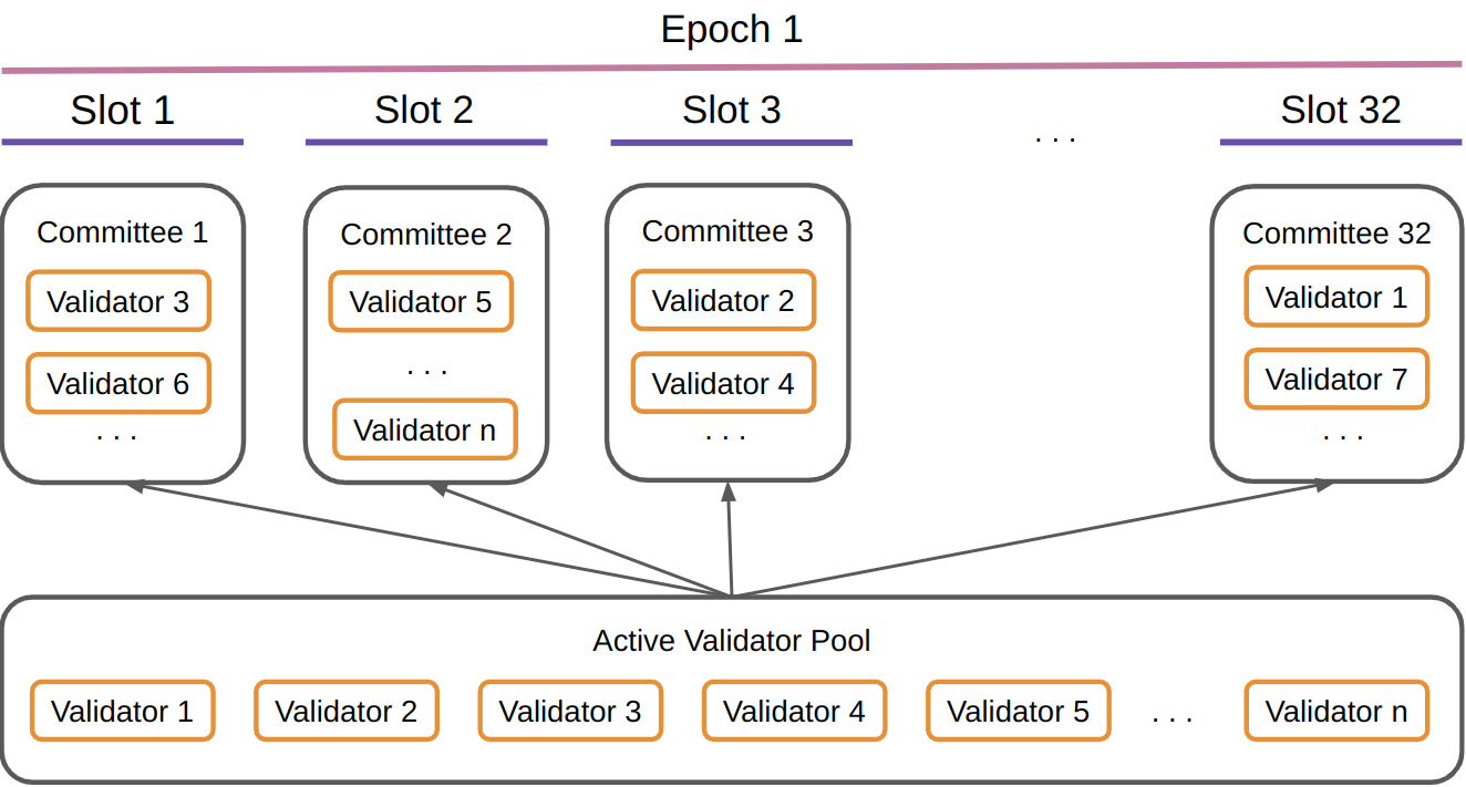 Sơ đồ phân bổ các validator hoạt động từ pool vào các committee theo từng slot trong epoch