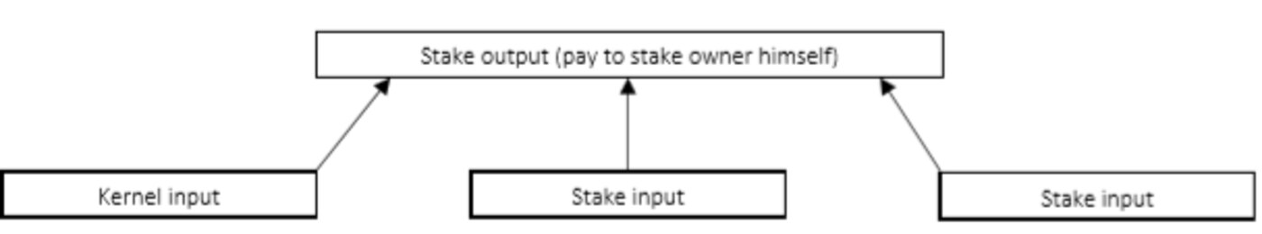 Biểu đồ quá trình sinh khối và phân phối phần thưởng theo stake