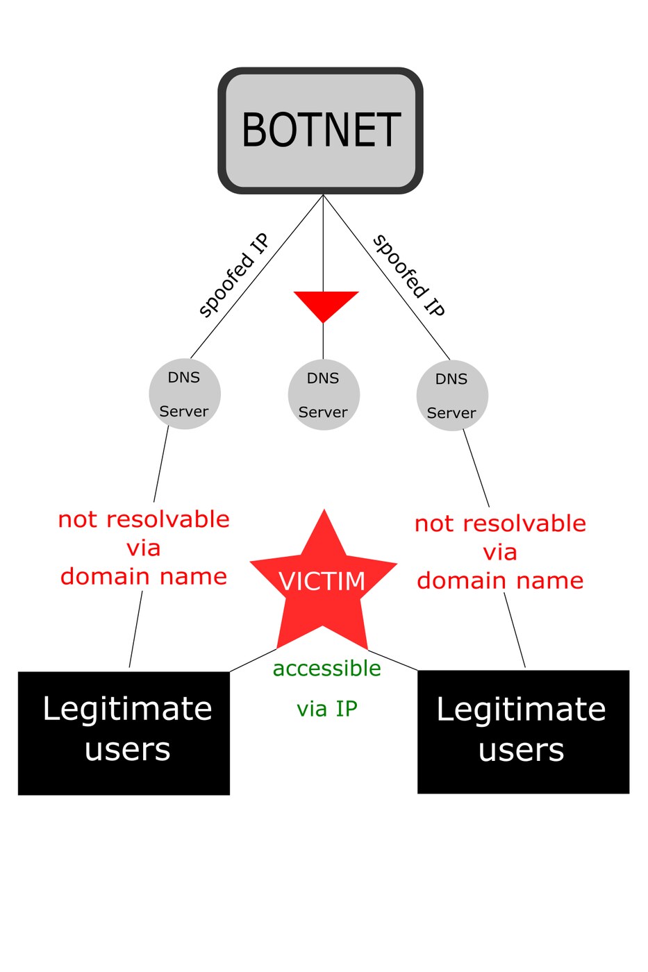 sơ đồ phản xạ DNS trong tấn công DDoS: botnet gửi truy vấn, phản hồi từ máy chủ DNS bị chuyển thẳng tới nạn nhân