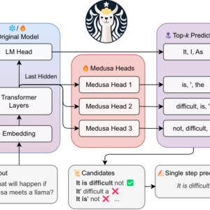 Sơ đồ Medusa: nhiều decoding head gắn trên hidden state cuối của LLM để dự đoán song song nhiều token