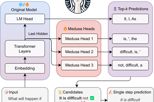 Sơ đồ Medusa: nhiều decoding head gắn trên hidden state cuối của LLM để dự đoán song song nhiều token