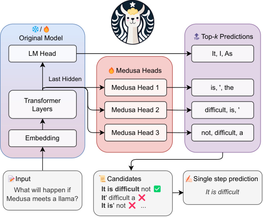 Sơ đồ Medusa: nhiều decoding head gắn trên hidden state cuối của LLM để dự đoán song song nhiều token