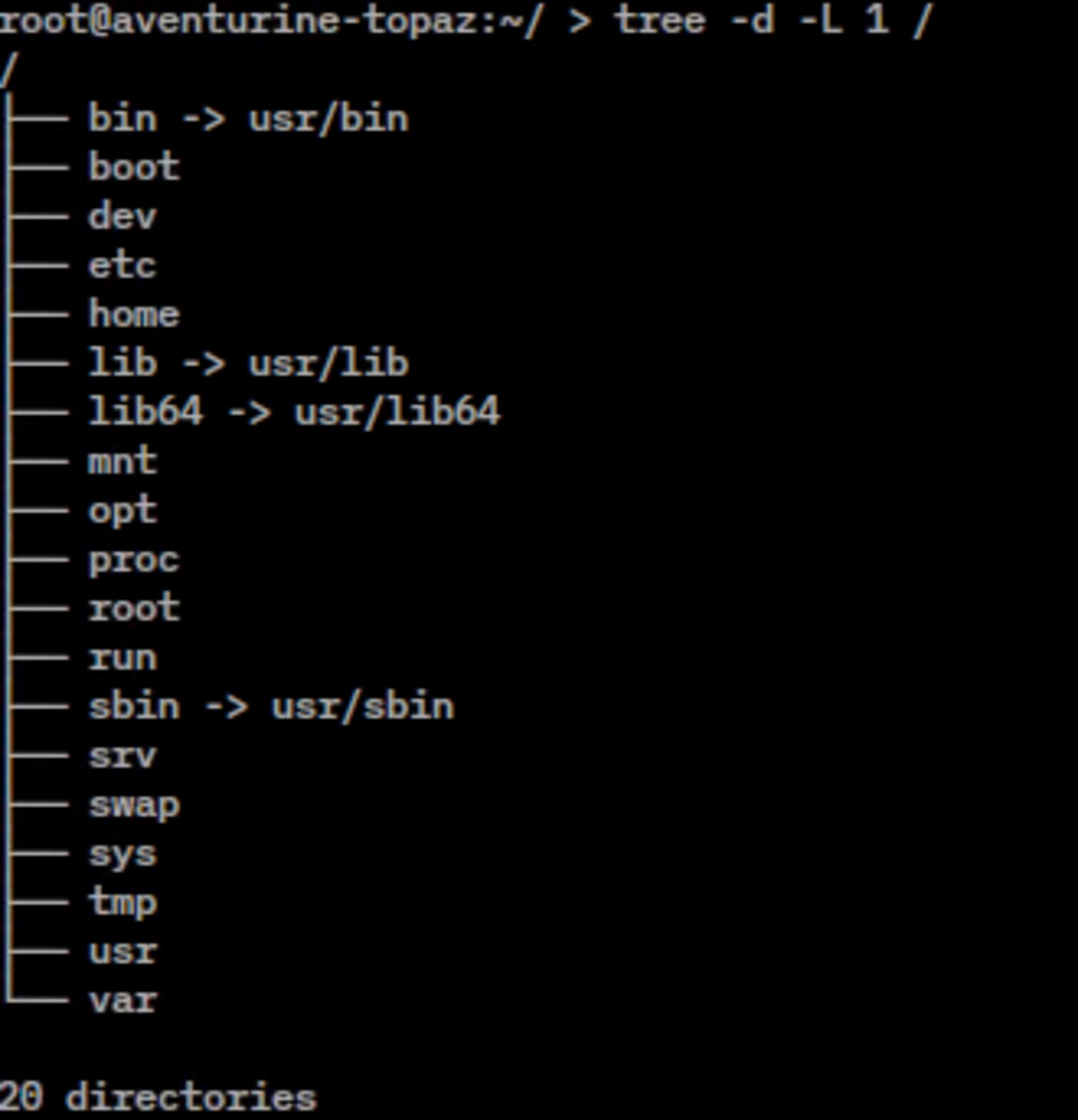 Ảnh chụp cây thư mục hệ thống Linux minh hoạ quá trình quét thư mục đệ quy