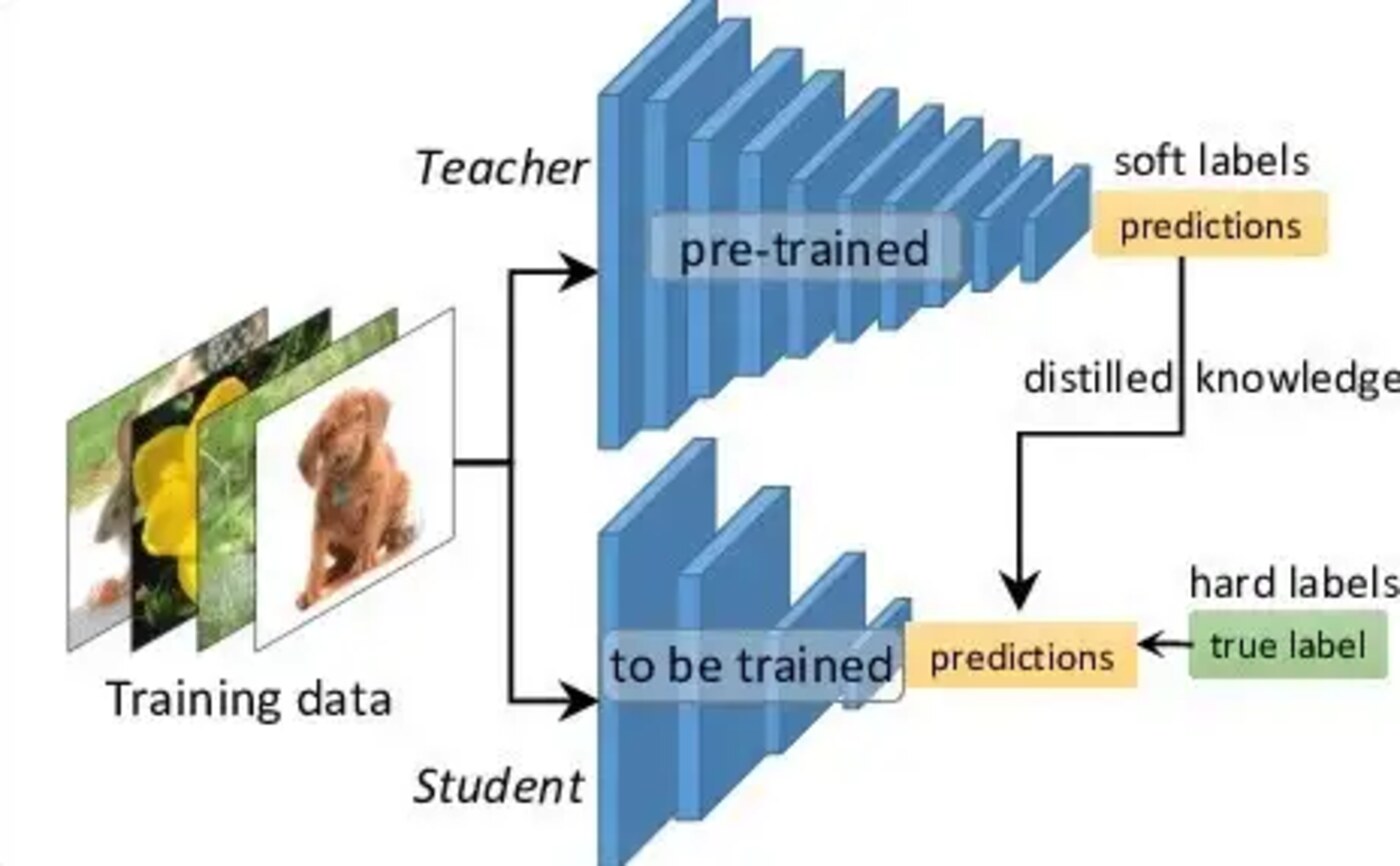 Minh hoá quá trình kiến tạo knowledge distillation: teacher tạo ra soft labels, student học từ chúng