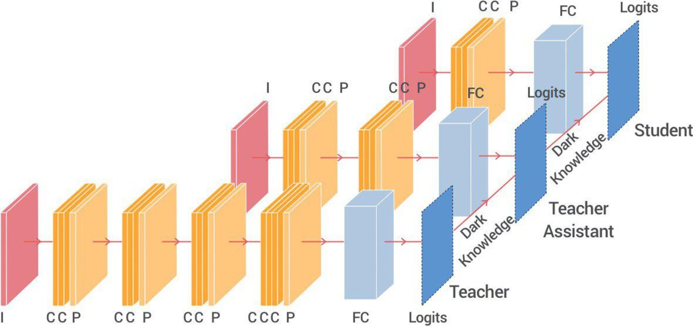 Minh hoá mô hình Teacher Assistant trong knowledge distillation: assistant làm giảm chênh lệch giữa teacher và student