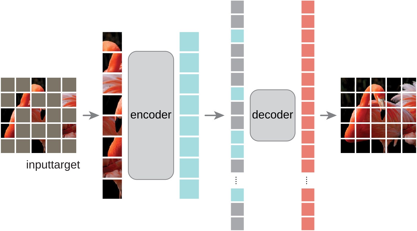 Sơ đồ Masked Autoencoder: một phần patch của ảnh bị che, mô hình học cách tái dựng phần bị che để tiền huấn luyện Vision Transformer