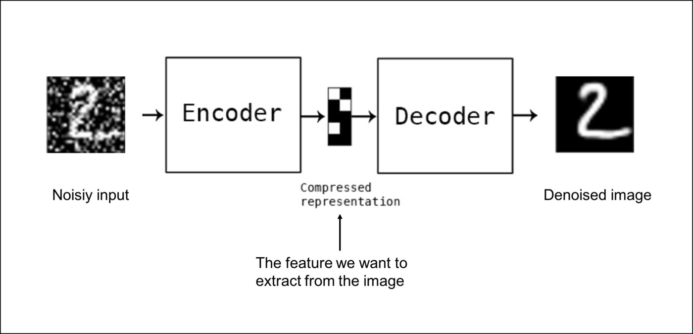 Sơ đồ khử nhiễu bằng autoencoder: ảnh nhiễu đầu vào, biểu diễn nén, ảnh đã khử nhiễu và đặc trưng cần tách
